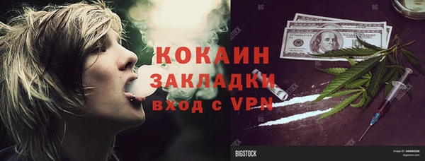 ГАЛЛЮЦИНОГЕННЫЕ ГРИБЫ Вязьма