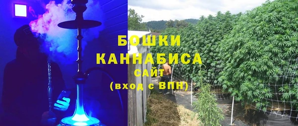 ГАЛЛЮЦИНОГЕННЫЕ ГРИБЫ Вязьма
