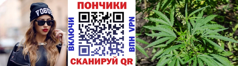 купить наркотики сайты  Обнинск  Канабис сатива 